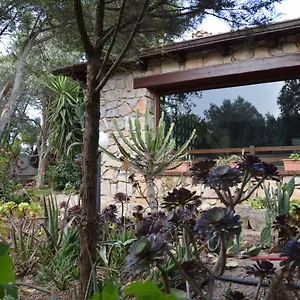 Giardino Degli Ulivi Ferienhaus Gonnesa
